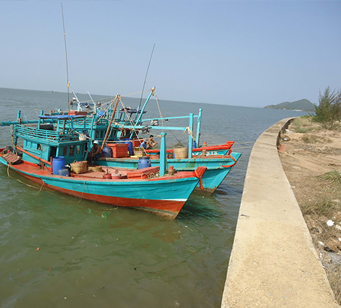 Hình ảnh bờ kè